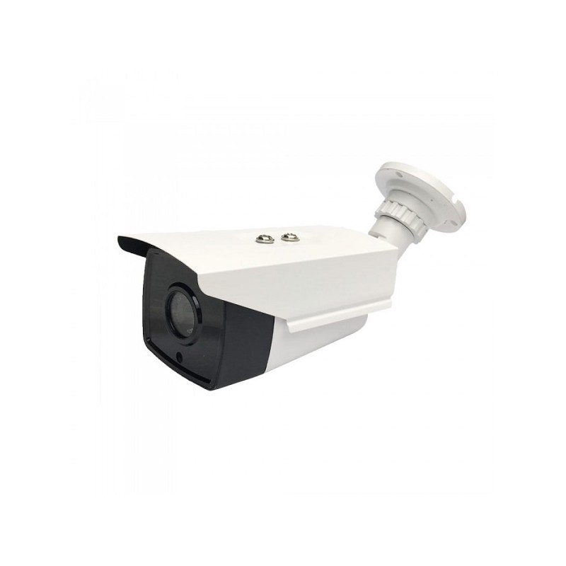 Camera di Videosorveglianza da Interno/Esterno IP 2MP 1080px FullHD con Visione Notturna a Colori Compatibile con Smart Devic...